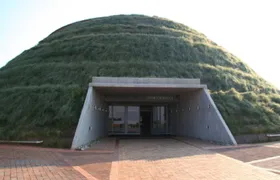 Cradle of Humankind half-day tour from Johannesburg