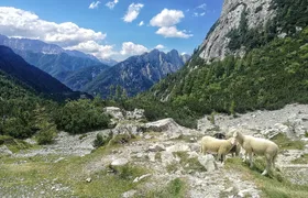 Julian Alps Tour
