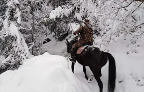 1 Hour Waterfalls Canyon Private Horse Riding in Smolyan
