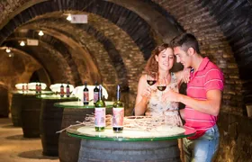 The Authentic Rioja Alavesa wine experiences