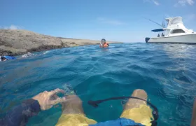 Tour to Tuneles & Cabo Rosa (Isabela Island)