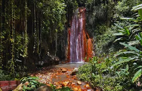 St Lucia Diamond Mineral and Mud Baths Plus Waterfall Adventure