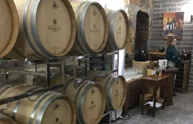 Jolimont Winery Tour - Visitation and Tasting - Canela RS