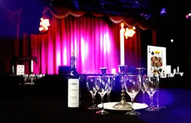 House of Illusion Magic Show with Drinks