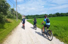 E-Bike tour and Wine tasting from Desenzano Inland