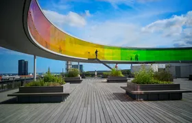 Explore Aarhus in 1 hour with a local