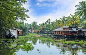 Discovering Kerala's Treasures: Tea Gardens, Backwaters & Seaside Serenity