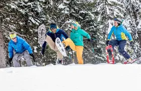 3 Hours Snowshoeing in Paganella in the Dolomites