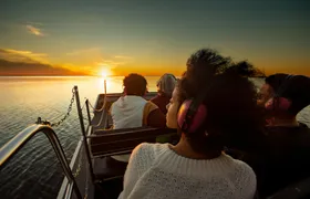 Sunset Central Florida Everglades Airboat Tour with Park Admission