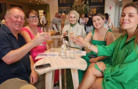 Discover Marlborough Wine - Afternoon Marlborough Wine Tour