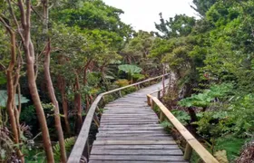 Chiloe National Park and Chonchi "Darwin Route"