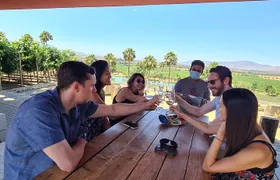 Guadalupe Wine Valley Tour