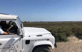 4x4 Camargue Safari 4h - Private Tour - Departure from Arles