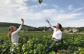 Full day from Dijon: the most of Burgundy with lunch