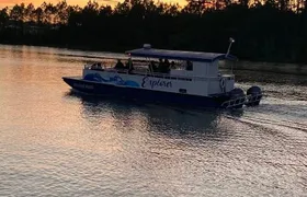 Dolphin and Nature Sunset Cruise from Orange Beach
