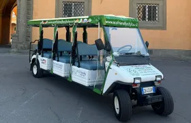 Pisa: Beyond the Tower (1h round-trip tour)