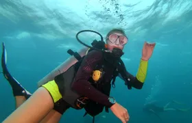 PADI Open Water Diver Course in Koh Phangan