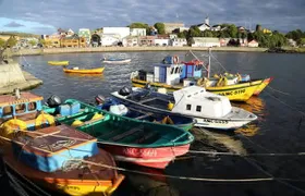 Puerto Montt: Full day Chiloe island visiting Ancud - Caulin - Lacuy