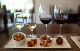 Tasting and Lunch at Bodega Pizzorno in Montevideo