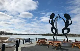 Yellowknife City Tour + Nature's North Wildlife Gallery