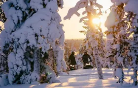Snowmobiles and huskies in Lapland