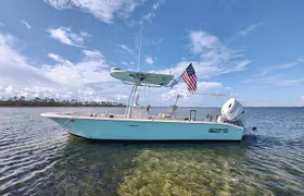 2-Hour Private Sightseeing Dolphin Tour in Panama City Beach