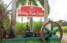 Worthy Park Estate Rum Tour