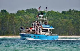 Frisky Mermaid Public Dolphin + Sightseeing Cruise Up to 49 Pax