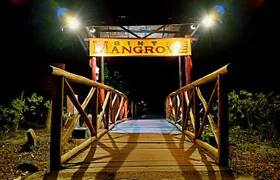 Bintan Fireflies Discovery Tour