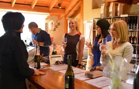 Half-Day Wine Tour from Picton