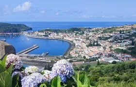 Faial Island: FullDEDay Private Tour