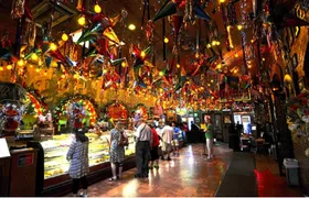 San Antonio: The Grand Historic City morning tour