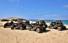 Southern Boa Vista four-hour buggy tour