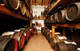 Cavedoni Balsamic Vinegar Tour: The Oldest in Modena