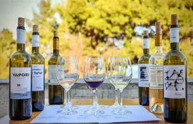 Skiathos Wine Tasting Tour