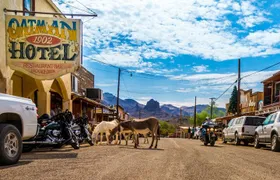 Historic Route 66 Bus Tour to Oatman