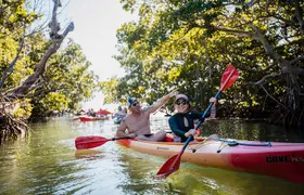 Half-Day Trip from Key West with Kayaking, Snorkeling & Sunset 