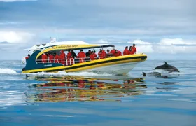 Tasman Island 3-hour wilderness cruise