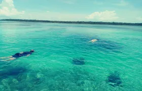 Blue hole, drift snorkeling, turtles Celebration Key is welcome 