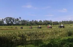 Best Bali ATV Ubud Tour Include Return tranport