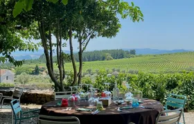 Full-day wine tour of Douro Valley