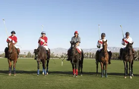 Polo Match, BBQ and Lesson Day-Trip from Buenos Aires