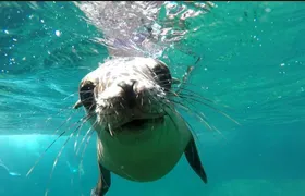 holy spirit island tour