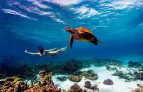 Kisite Marine Park Private Boat Snorkeling with breakfast & Lunch