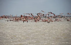 7 Days 6 Nights Alta Guajira Photographic Route Tour with Pick up