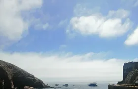 Berlenga island trip, glass-bottom boat cave tour and snorkeling