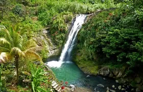 Full-Day Tour: Concord Waterfall, Chocolate Factory, Rum Distillery, Grand Etang