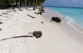 Chill Out Plan - Island Yani - 1 Night GYG