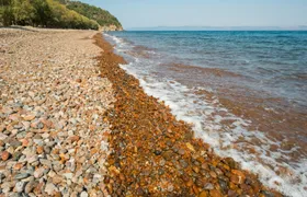 North Lesbos Boat Cruise with Barbecue