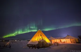 Night reindeer sledding with dinner and northern lights
